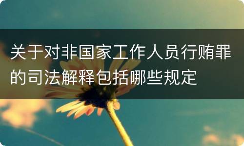 关于对非国家工作人员行贿罪的司法解释包括哪些规定