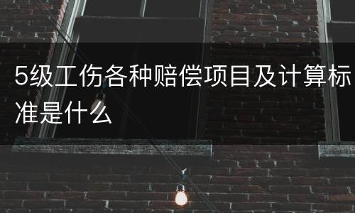 5级工伤各种赔偿项目及计算标准是什么
