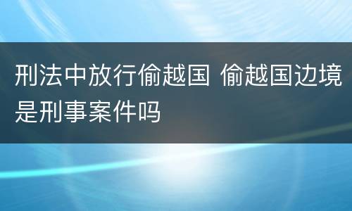 刑法中放行偷越国 偷越国边境是刑事案件吗
