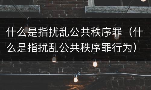 什么是指扰乱公共秩序罪（什么是指扰乱公共秩序罪行为）
