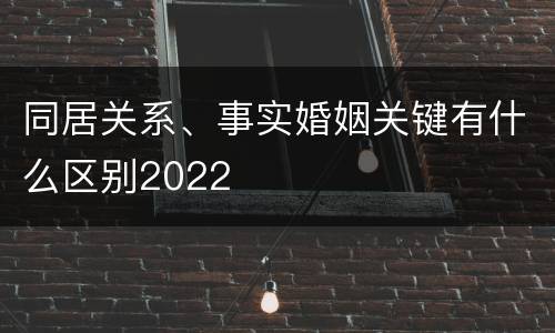 同居关系、事实婚姻关键有什么区别2022