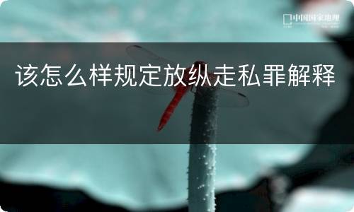 该怎么样规定放纵走私罪解释