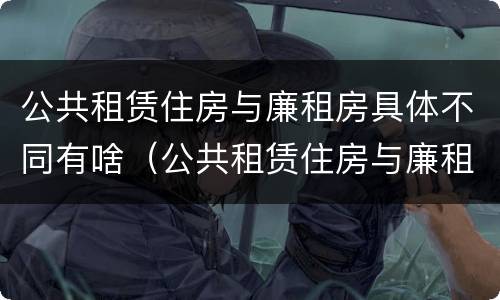 公共租赁住房与廉租房具体不同有啥（公共租赁住房与廉租房具体不同有啥影响）