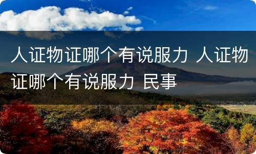 人证物证哪个有说服力 人证物证哪个有说服力 民事