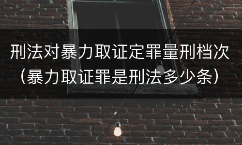 刑法对暴力取证定罪量刑档次（暴力取证罪是刑法多少条）