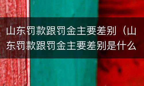山东罚款跟罚金主要差别（山东罚款跟罚金主要差别是什么）