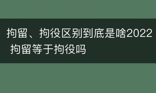 拘留、拘役区别到底是啥2022 拘留等于拘役吗