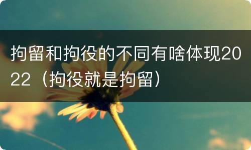 拘留和拘役的不同有啥体现2022（拘役就是拘留）