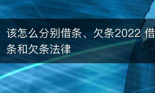 该怎么分别借条、欠条2022 借条和欠条法律