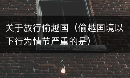 关于放行偷越国（偷越国境以下行为情节严重的是）