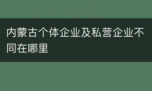 内蒙古个体企业及私营企业不同在哪里
