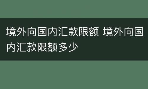 境外向国内汇款限额 境外向国内汇款限额多少