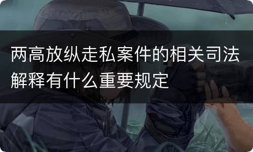 两高放纵走私案件的相关司法解释有什么重要规定