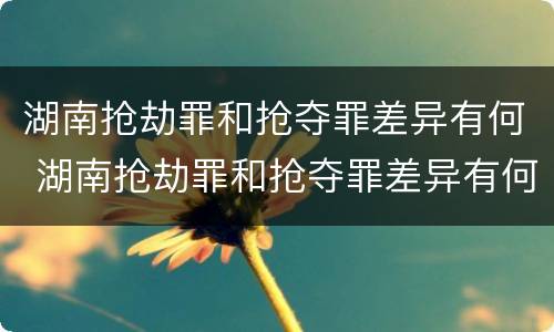 湖南抢劫罪和抢夺罪差异有何 湖南抢劫罪和抢夺罪差异有何不同