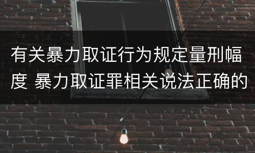 有关暴力取证行为规定量刑幅度 暴力取证罪相关说法正确的是