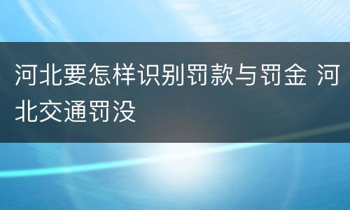 河北要怎样识别罚款与罚金 河北交通罚没