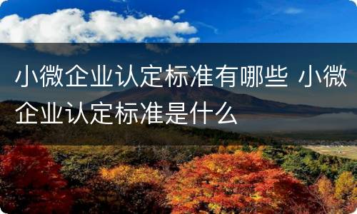 小微企业认定标准有哪些 小微企业认定标准是什么