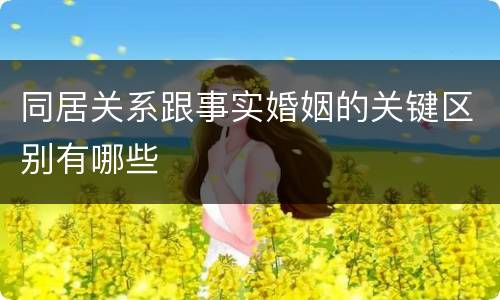 同居关系跟事实婚姻的关键区别有哪些