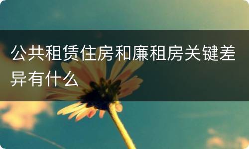 公共租赁住房和廉租房关键差异有什么