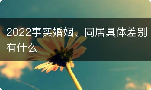 2022事实婚姻、同居具体差别有什么