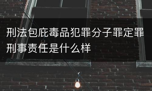 刑法包庇毒品犯罪分子罪定罪刑事责任是什么样