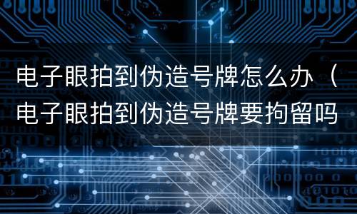 电子眼拍到伪造号牌怎么办（电子眼拍到伪造号牌要拘留吗）