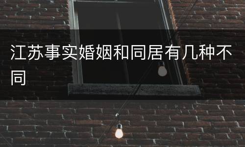 江苏事实婚姻和同居有几种不同