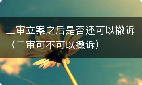 二审立案之后是否还可以撤诉（二审可不可以撤诉）