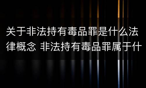 关于非法持有毒品罪是什么法律概念 非法持有毒品罪属于什么类型