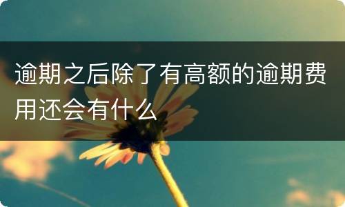 逾期之后除了有高额的逾期费用还会有什么