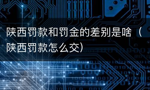 陕西罚款和罚金的差别是啥（陕西罚款怎么交）