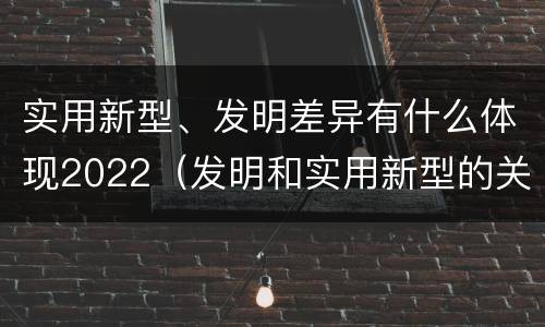实用新型、发明差异有什么体现2022（发明和实用新型的关系）