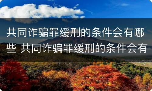 共同诈骗罪缓刑的条件会有哪些 共同诈骗罪缓刑的条件会有哪些呢