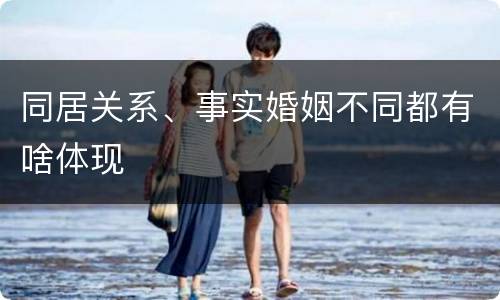 同居关系、事实婚姻不同都有啥体现