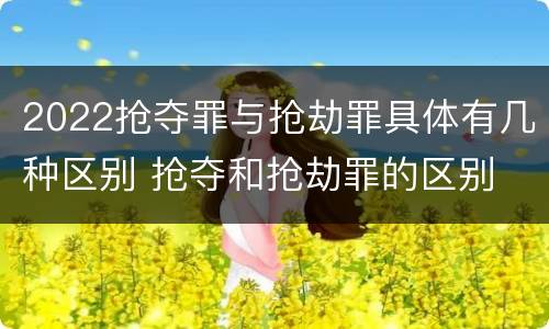 2022抢夺罪与抢劫罪具体有几种区别 抢夺和抢劫罪的区别