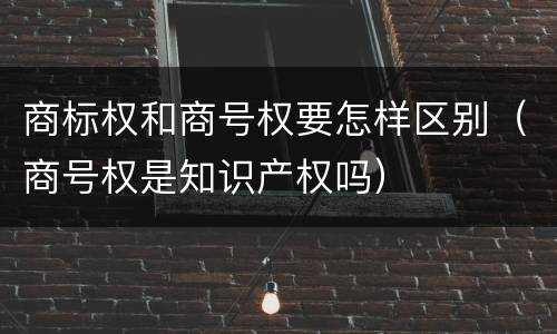 商标权和商号权要怎样区别（商号权是知识产权吗）