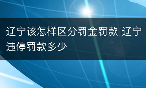 辽宁该怎样区分罚金罚款 辽宁违停罚款多少