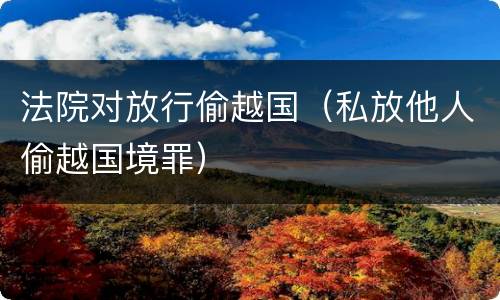 法院对放行偷越国（私放他人偷越国境罪）