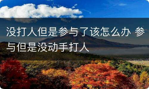 没打人但是参与了该怎么办 参与但是没动手打人