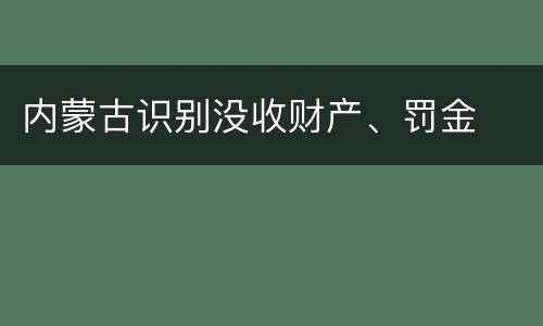 内蒙古识别没收财产、罚金