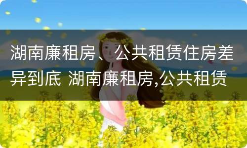 湖南廉租房、公共租赁住房差异到底 湖南廉租房,公共租赁住房差异到底怎么办