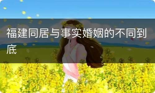 福建同居与事实婚姻的不同到底