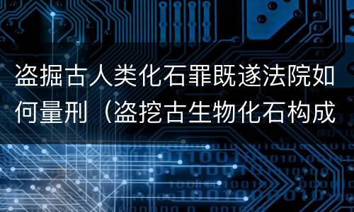盗掘古人类化石罪既遂法院如何量刑（盗挖古生物化石构成何罪）
