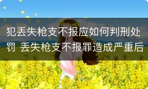 犯丢失枪支不报应如何判刑处罚 丢失枪支不报罪造成严重后果