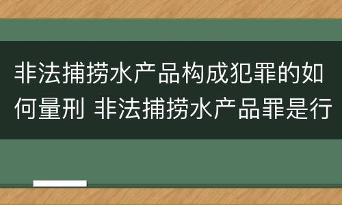 非法捕捞水产品构成犯罪的如何量刑 非法捕捞水产品罪是行为犯吗