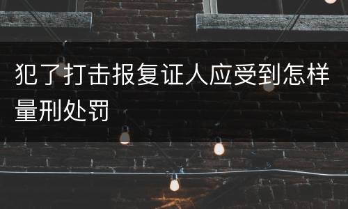 犯了打击报复证人应受到怎样量刑处罚