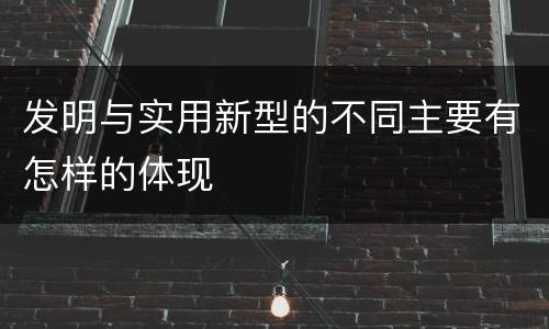 发明与实用新型的不同主要有怎样的体现