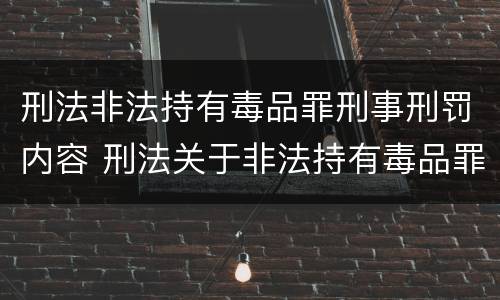 刑法非法持有毒品罪刑事刑罚内容 刑法关于非法持有毒品罪的规定