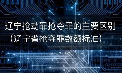 辽宁抢劫罪抢夺罪的主要区别（辽宁省抢夺罪数额标准）