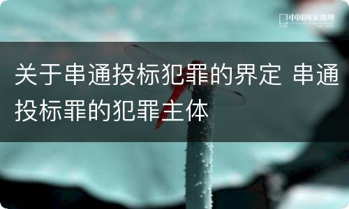 关于串通投标犯罪的界定 串通投标罪的犯罪主体